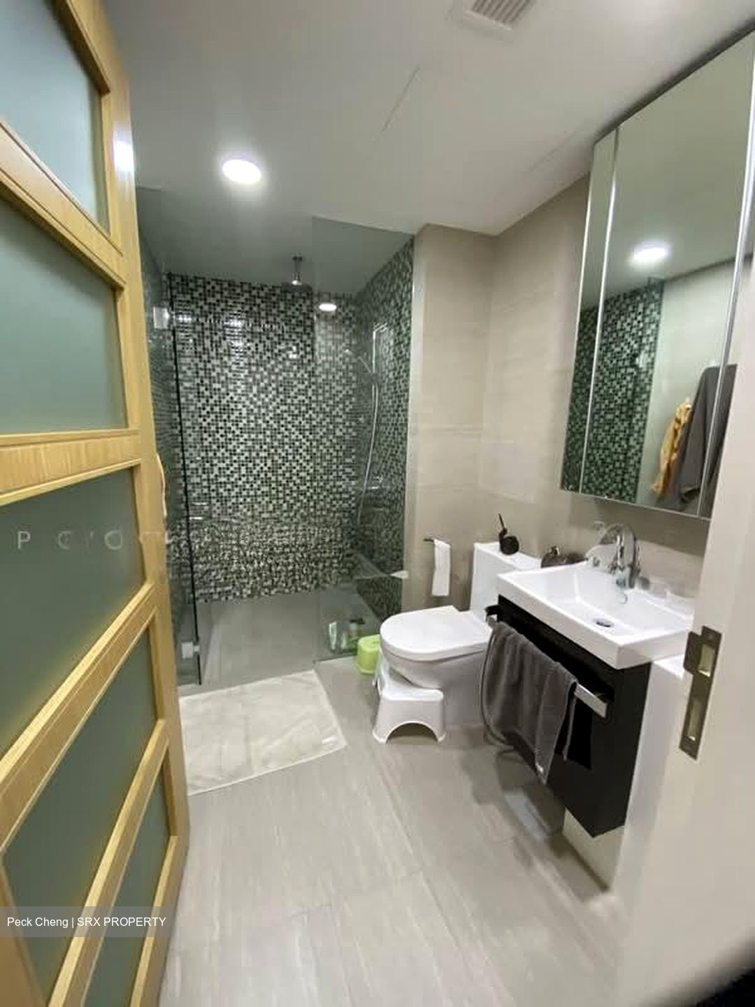 Sant Ritz (D13), Condominium #594070591